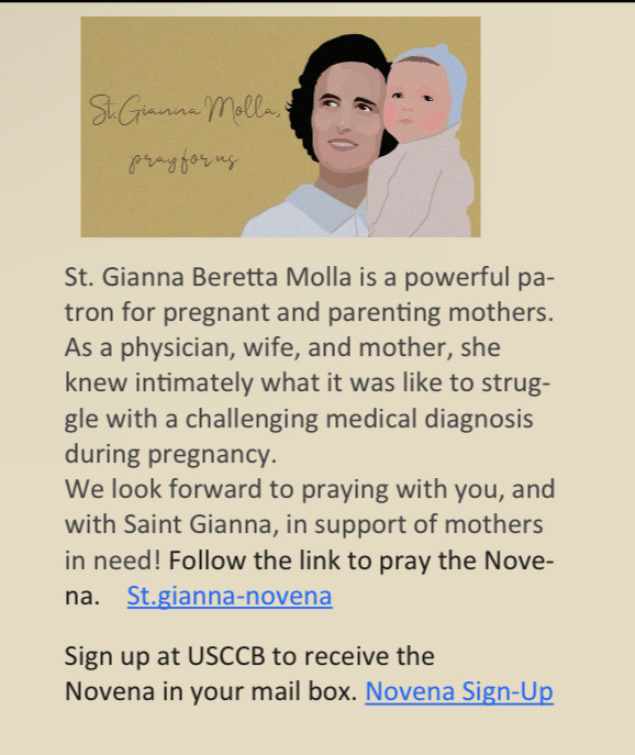 novena1